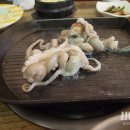 철낙 이미지