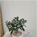 물금1길 이미지