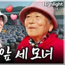 영농조합법인 영산식품 | 인간극장 임실 청국장 된장 택배 주문 정보