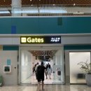 김명조 | 몰디브 시암월드 수상비행기 탑승/담당 버틀러/비치빌라 체크인