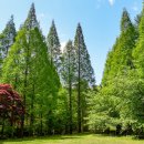 온빛 노동조합 이미지