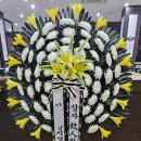 정읍사랑병원 이미지