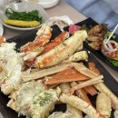 애견왕국 이미지