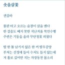솟을 이미지