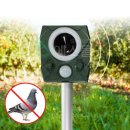 비둘기농장 이미지