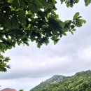 7월 12일(일) 맘따라걷기 - 비슬산 능선길 (대견사 - 천왕봉 - 도성암 - 유가사) 도보후기 이미지