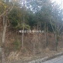 곰솔부동산공인중개사사무소 이미지