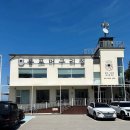 중앙분식센타 | 녹원생선찜 영랑호 벚꽃축제 속초중앙시장 국대감자 코끼리분식 중앙닭강정 아라횟집 속초딸기모찌 진솔...