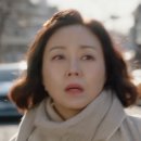 김보정 카카오 검색결과