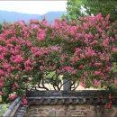 역사기행 코스 이미지