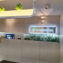 구구플란트치과의원 이미지