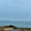 인천송빛초등학교 이미지