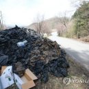 감물농기계임대사업소 이미지