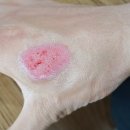 세솔약국 이미지