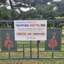 청정구역