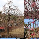 대영농원 이미지