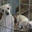 똑독트레이닝스쿨 이미지