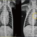 24시 코끼리동물의료센터 이미지