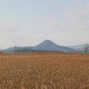 순천만그리고나 이미지