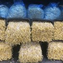 양지경로당 이미지