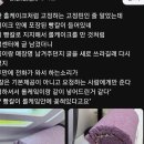 파리바게트에서 산 빵에 칼이 박혀있을 확률은?? 이미지