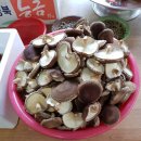 동업 농장 이미지