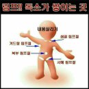 비움 스킨앤바디 네이버블로그