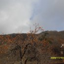 백운탕 이미지