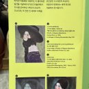 푸른마을삼성(아)경로당 | 전시1. 클림트와 리치 오디의 기적 &amp; 베르메르의 비밀 &amp; 리움 미술관 까치와 호랑이 🎨 후기