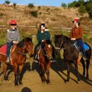 (주)오름정보기술 이미지