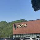 샤인덴탈 대구중부점 | 김천포도CC 라운딩 후기 🍇🍇