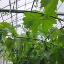 영재농장 이미지