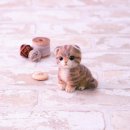 오후