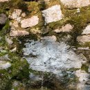 수암계곡샘 이미지