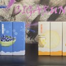 월드와이드 베이프(World Wide Vape)
