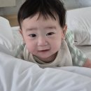 펄베이풀빌라 이미지