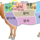 오성한우 티스토리