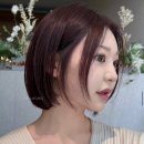 염색하기좋은날 | [서초/반포] 차홍룸 반포점에서 시세이도프로페셔널 글로우컬러로 염색하기