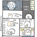 준꼬