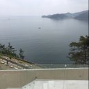 모이(moi)