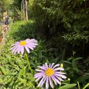 명지산 군립공원 공중화장실 이미지