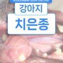 인제메디컬센터 이미지