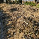 대견농장 이미지