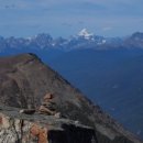 제스퍼(JASPER) 이미지