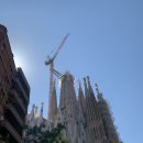 바르셀로나 3일차 가우디 성가족성당 내부 관람 후기 (사그라다 파밀리아/Sagrada Familia/탄생의...
