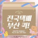 스카이게임랜드 | [광안리 전자담배] 깔끔한 액상, 멘솔 액상 베이핑 후기/ 시원한 박하사탕 향이 가득??🩵