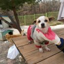 양학시장 이미지