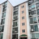 용남시장약국 이미지