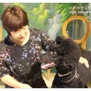 운요천목욕탕 이미지