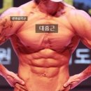 바벨솔루션